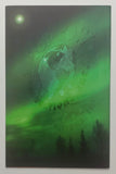 Art of the Witchblade Special Edition One Shot #1 2006