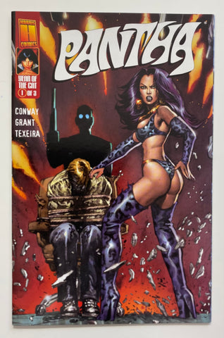 Vampirella #13C Year of the Cat 1 of 3 Pantha 1999