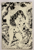 Vampirella Revelations Book 2 #1 Prototype Limited Edition Sketch Variant VERY RARE 2006